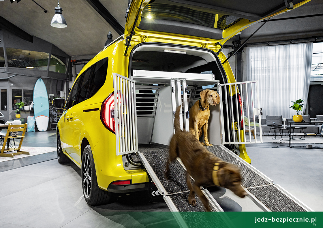 Premiera tygodnia - Mercedes Klasa T - klatki do transportu psów